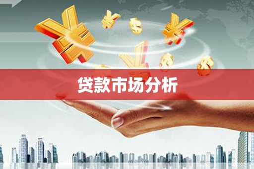 白水贷款市场分析