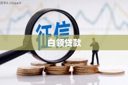 白水白领贷款