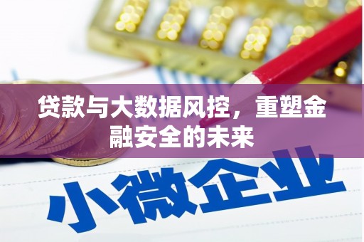 白水贷款与大数据风控，重塑金融安全的未来