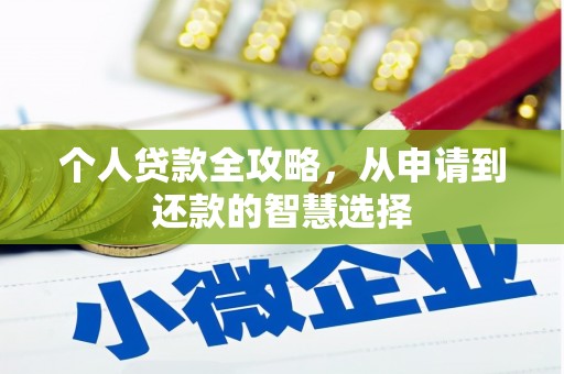 白水个人贷款全攻略，从申请到还款的智慧选择