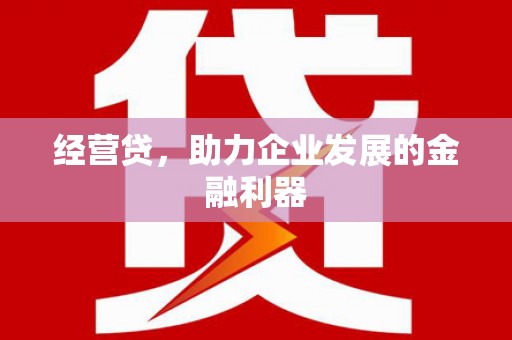 白水经营贷，助力企业发展的金融利器