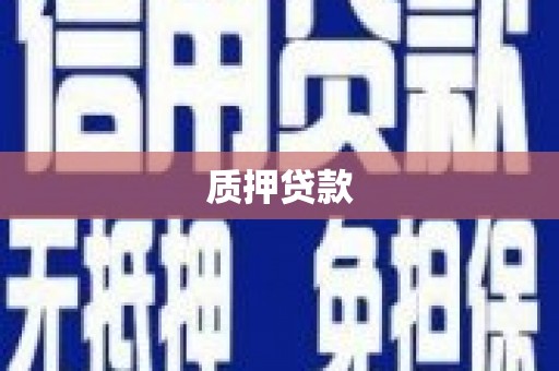 白水质押贷款