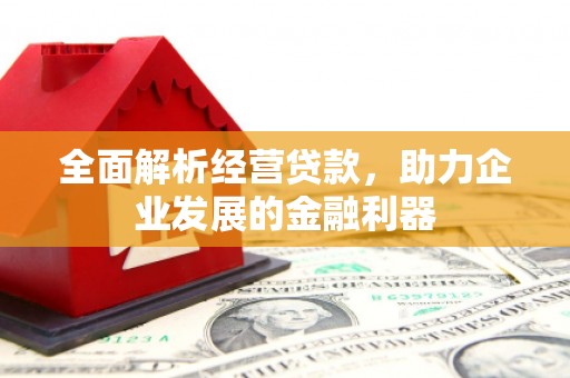 白水全面解析经营贷款，助力企业发展的金融利器