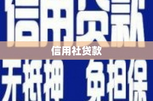 白水信用社贷款