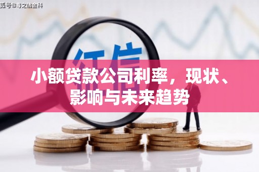 白水小额贷款公司利率，现状、影响与未来趋势