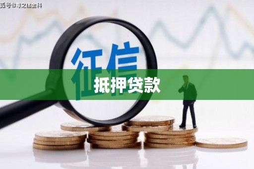 白水抵押贷款
