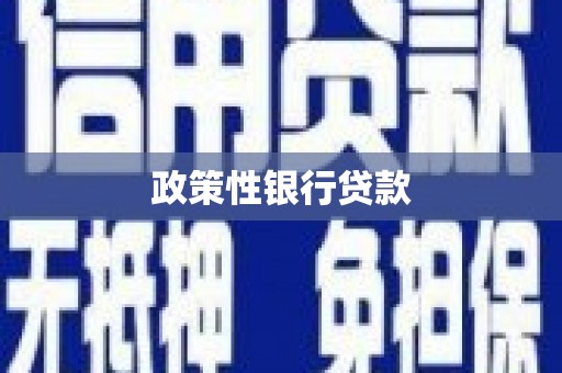 白水政策性银行贷款
