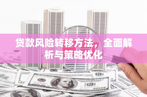 白水贷款风险转移方法，全面解析与策略优化