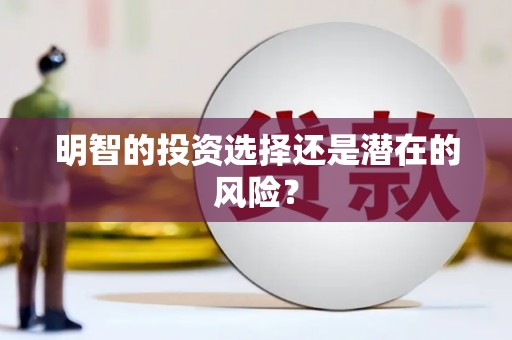白水明智的投资选择还是潜在的风险？