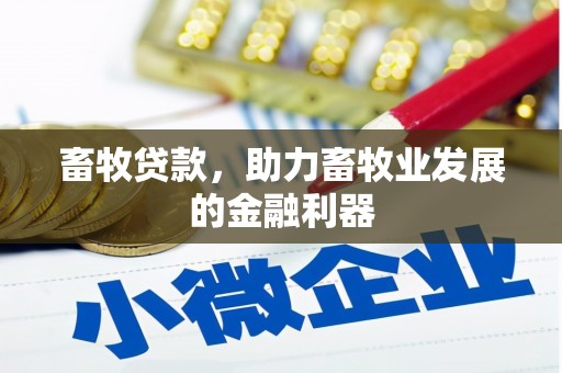 白水畜牧贷款，助力畜牧业发展的金融利器