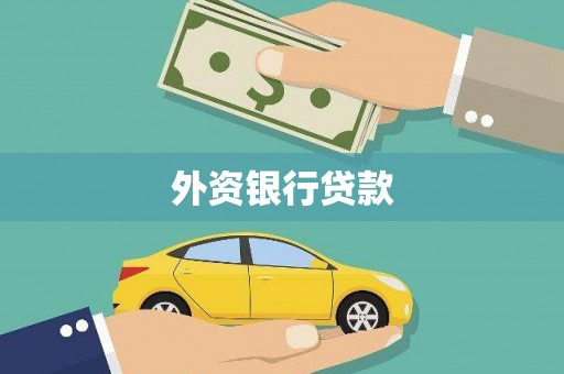 白水外资银行贷款