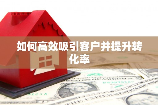 白水如何高效吸引客户并提升转化率