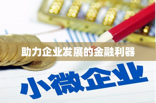 白水助力企业发展的金融利器