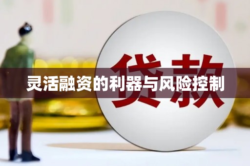 白水灵活融资的利器与风险控制