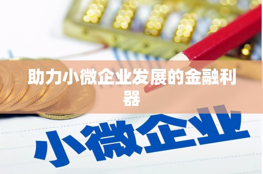 白水助力小微企业发展的金融利器