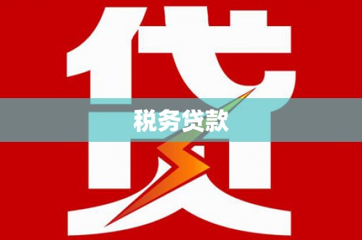 白水税务贷款