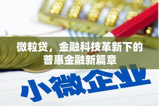 白水微粒贷，金融科技革新下的普惠金融新篇章
