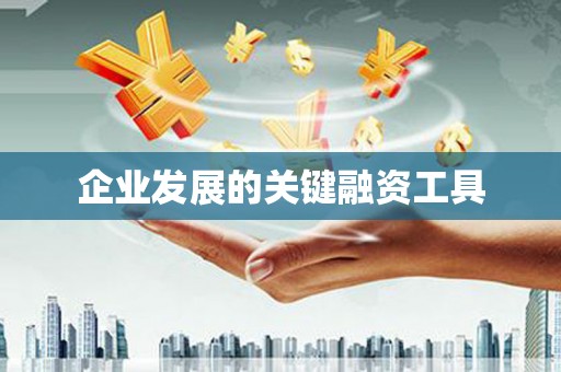 白水企业发展的关键融资工具