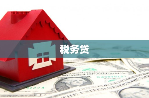 白水税务贷