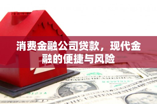 白水消费金融公司贷款，现代金融的便捷与风险