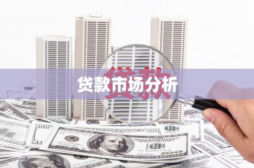 白水贷款市场分析