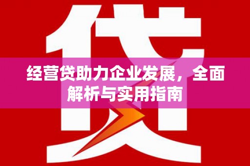白水经营贷助力企业发展，全面解析与实用指南