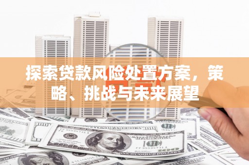 白水探索贷款风险处置方案，策略、挑战与未来展望
