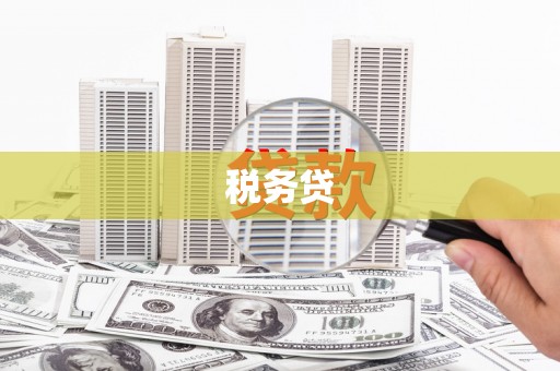 白水税务贷