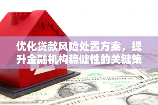 白水优化贷款风险处置方案，提升金融机构稳健性的关键策略