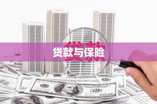 白水贷款与保险