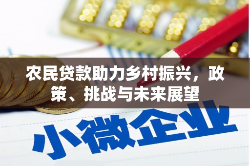 白水农民贷款助力乡村振兴，政策、挑战与未来展望