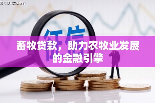白水畜牧贷款，助力农牧业发展的金融引擎