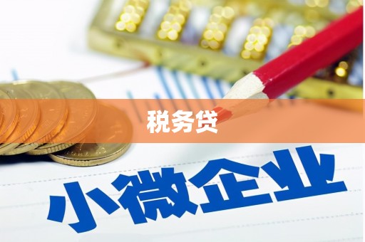 白水税务贷