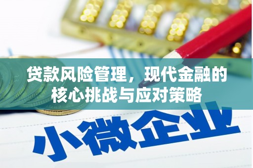 白水贷款风险管理，现代金融的核心挑战与应对策略