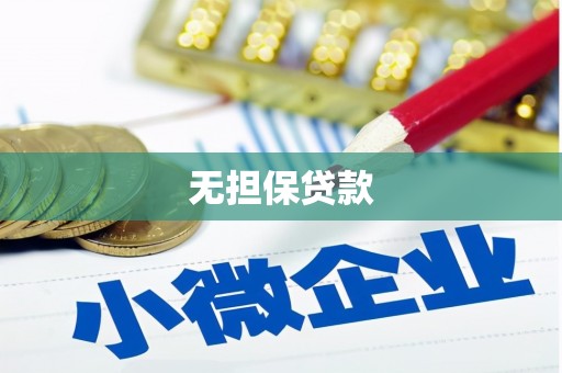 白水无担保贷款