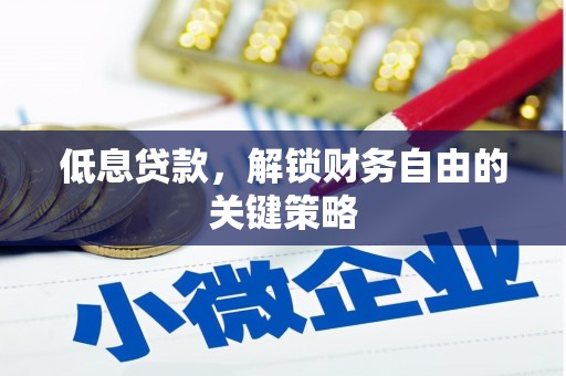 白水低息贷款，解锁财务自由的关键策略