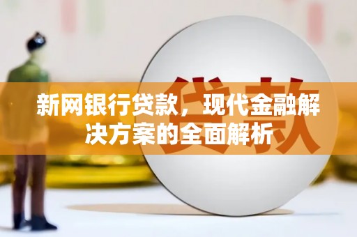 白水新网银行贷款，现代金融解决方案的全面解析