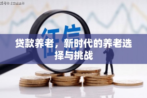白水贷款养老，新时代的养老选择与挑战