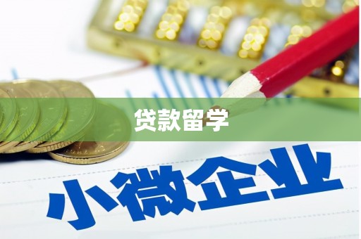 白水贷款留学
