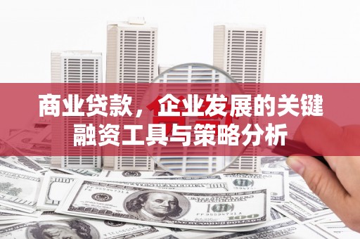 白水商业贷款，企业发展的关键融资工具与策略分析
