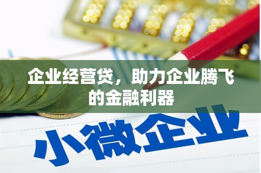 白水企业经营贷，助力企业腾飞的金融利器