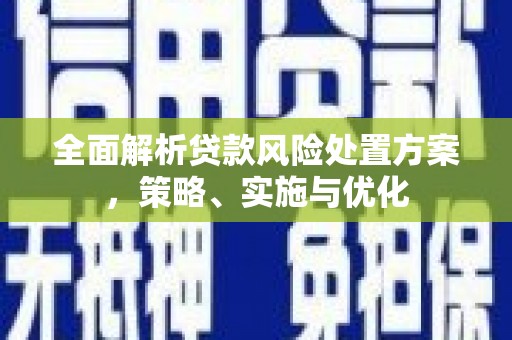 白水全面解析贷款风险处置方案，策略、实施与优化