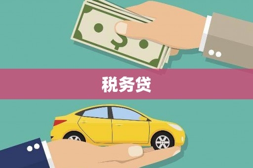 白水税务贷