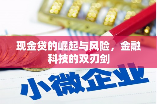 白水现金贷的崛起与风险，金融科技的双刃剑