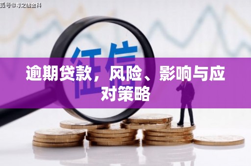白水逾期贷款，风险、影响与应对策略