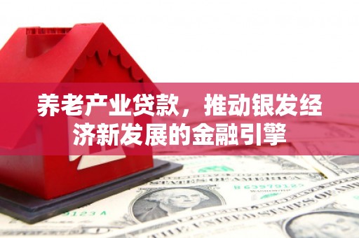 白水养老产业贷款，推动银发经济新发展的金融引擎
