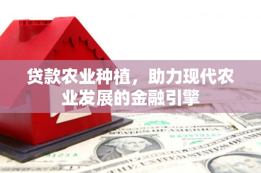 白水贷款农业种植，助力现代农业发展的金融引擎
