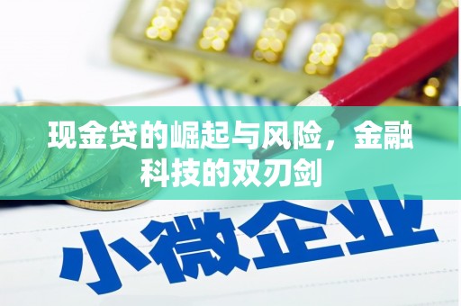 白水现金贷的崛起与风险，金融科技的双刃剑