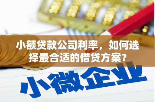 白水小额贷款公司利率，如何选择最合适的借贷方案？