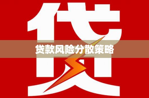 白水贷款风险分散策略